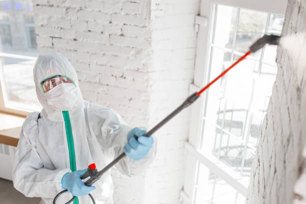  Carlyss, LA Mold Removal Pros